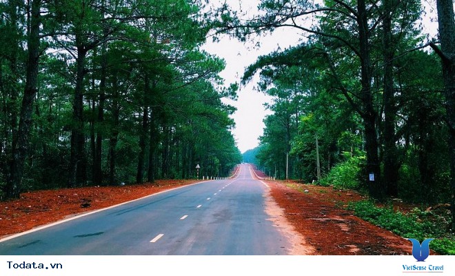 Có Một Đà Lạt Giữa Lòng Tây Nguyên Hùng Vĩ - Ảnh 3