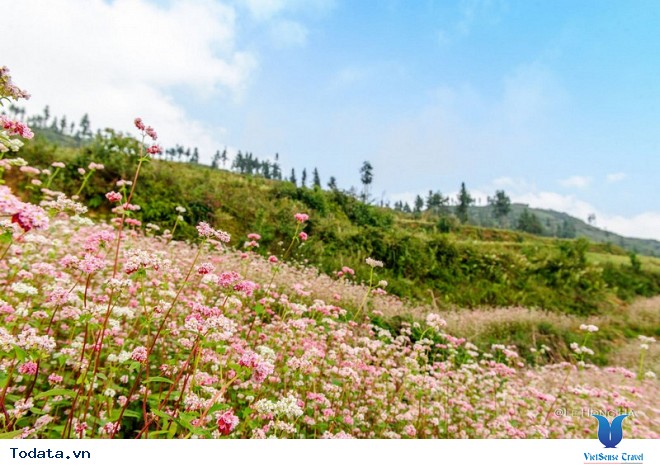 Khám Phá 6 Điểm Du Lịch Mùa Đông Miền Bắc Thú Vị Nhất. - Ảnh 2