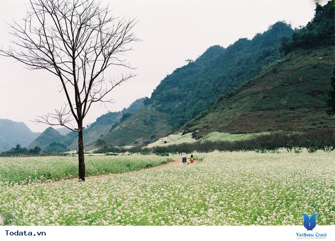 Khám Phá 6 Điểm Du Lịch Mùa Đông Miền Bắc Thú Vị Nhất. - Ảnh 3