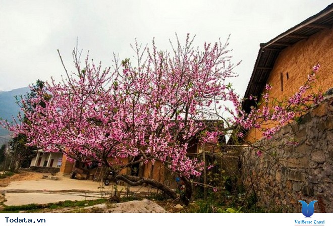 Vẻ Đẹp Xã Vùng Cao Đẹp Nhất Cao Nguyên Đá Đồng Văn - Ảnh 2