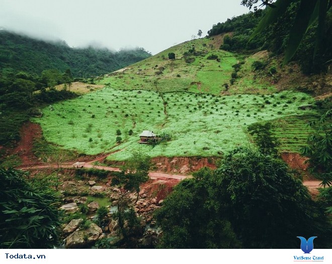 Xách Balo Lên Mộc Châu Ngắm Hoa Cải Trắng Tinh Khôi Trong Cái Lạnh Đầu Đông - Ảnh 3 Xách Balo Lên Mộc Châu Ngắm Hoa Cải Trắng Tinh Khôi Trong Cái Lạnh Đầu Đông - Ảnh 3
