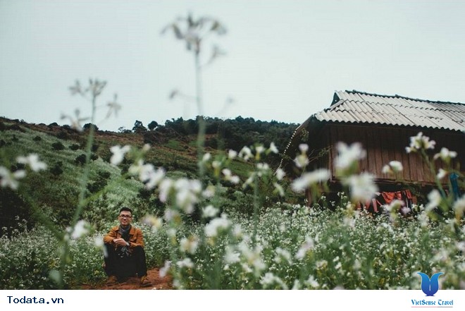 Xách Balo Lên Mộc Châu Ngắm Hoa Cải Trắng Tinh Khôi Trong Cái Lạnh Đầu Đông - Ảnh 8 Xách Balo Lên Mộc Châu Ngắm Hoa Cải Trắng Tinh Khôi Trong Cái Lạnh Đầu Đông - Ảnh 8