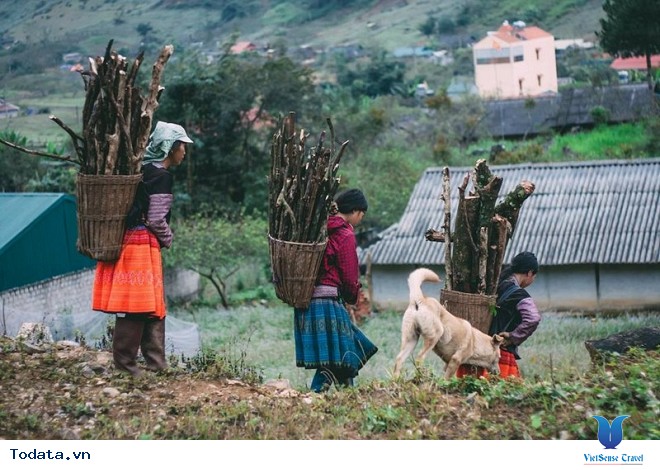 Xách Balo Lên Mộc Châu Ngắm Hoa Cải Trắng Tinh Khôi Trong Cái Lạnh Đầu Đông - Ảnh 6 Xách Balo Lên Mộc Châu Ngắm Hoa Cải Trắng Tinh Khôi Trong Cái Lạnh Đầu Đông - Ảnh 6