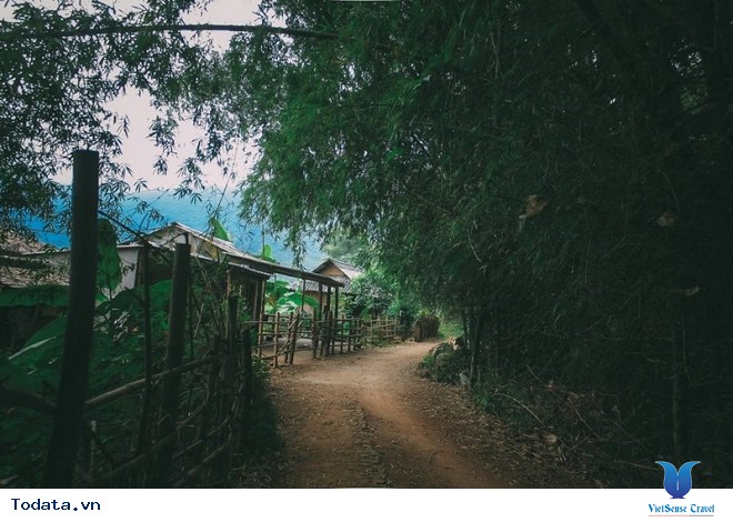 Xách Balo Lên Mộc Châu Ngắm Hoa Cải Trắng Tinh Khôi Trong Cái Lạnh Đầu Đông - Ảnh 1 Xách Balo Lên Mộc Châu Ngắm Hoa Cải Trắng Tinh Khôi Trong Cái Lạnh Đầu Đông - Ảnh 1