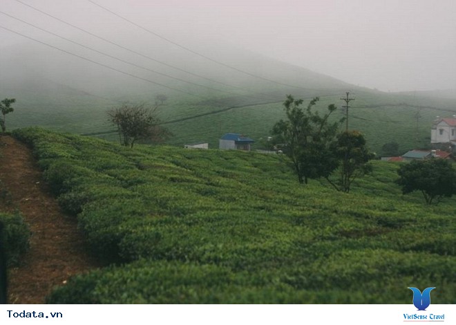 Xách Balo Lên Mộc Châu Ngắm Hoa Cải Trắng Tinh Khôi Trong Cái Lạnh Đầu Đông - Ảnh 2 Xách Balo Lên Mộc Châu Ngắm Hoa Cải Trắng Tinh Khôi Trong Cái Lạnh Đầu Đông - Ảnh 2