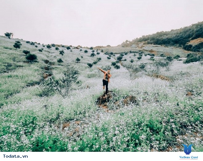 Xách Balo Lên Mộc Châu Ngắm Hoa Cải Trắng Tinh Khôi Trong Cái Lạnh Đầu Đông - Ảnh 5 Xách Balo Lên Mộc Châu Ngắm Hoa Cải Trắng Tinh Khôi Trong Cái Lạnh Đầu Đông - Ảnh 5