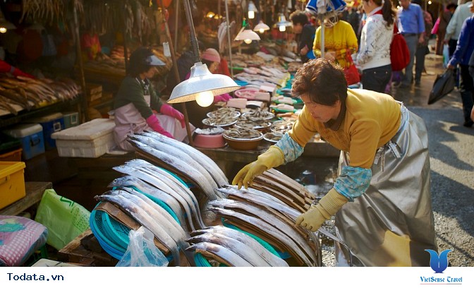 Du lịch Hàn Quốc ghé thăm chợ hải sản tại Busan - Ảnh 1 Du lịch Hàn Quốc ghé thăm chợ hải sản tại Busan - Ảnh 1