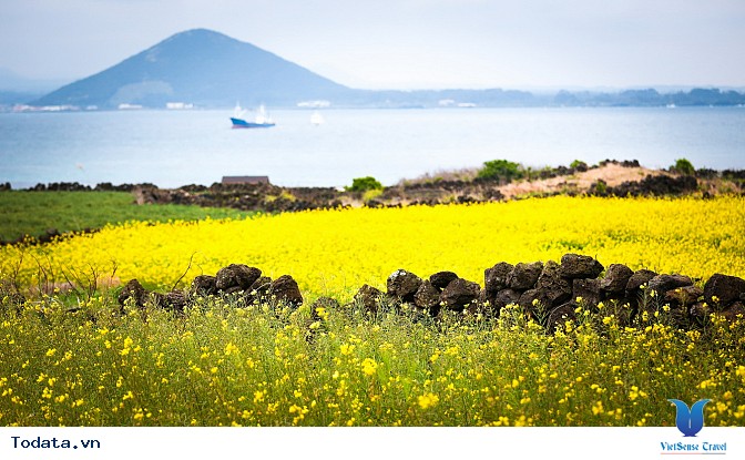 Mộng mơ khúc tình ca bốn mùa trên đảo Nami - Ảnh 5