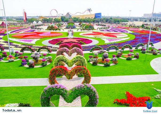 Dubai Miracle Garden: Vườn hoa tự nhiên lớn nhất thế giới nằm giữa sa mạc - Ảnh 2 Dubai Miracle Garden: Vườn hoa tự nhiên lớn nhất thế giới nằm giữa sa mạc - Ảnh 2