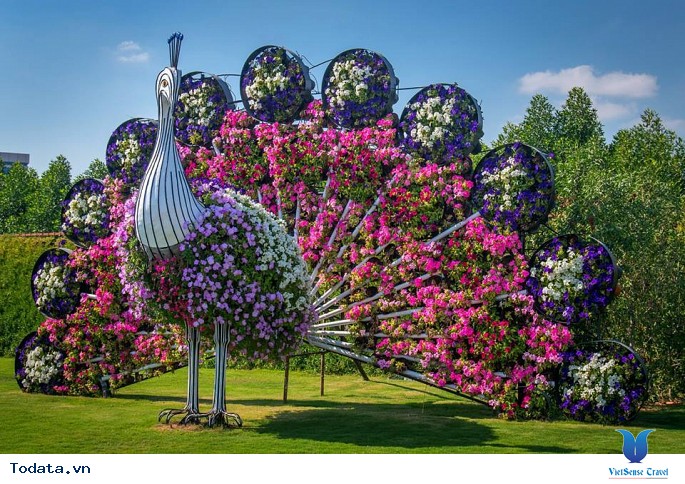 Dubai Miracle Garden: Vườn hoa tự nhiên lớn nhất thế giới nằm giữa sa mạc - Ảnh 4 Dubai Miracle Garden: Vườn hoa tự nhiên lớn nhất thế giới nằm giữa sa mạc - Ảnh 4