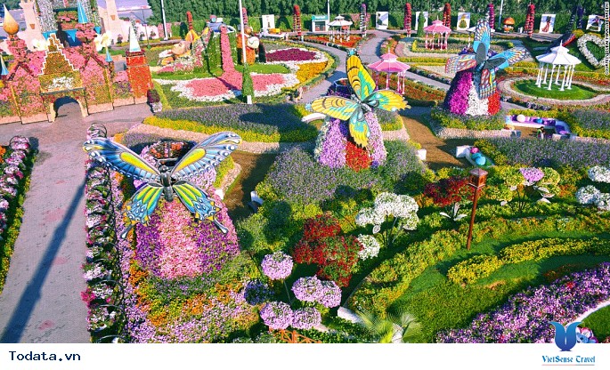 Dubai Miracle Garden: Vườn hoa tự nhiên lớn nhất thế giới nằm giữa sa mạc - Ảnh 1 Dubai Miracle Garden: Vườn hoa tự nhiên lớn nhất thế giới nằm giữa sa mạc - Ảnh 1