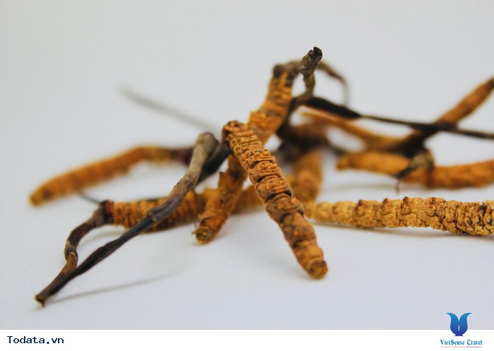 Những món quà ý nghĩa khi đi du lịch Bhutan - Ảnh 3 Những món quà ý nghĩa khi đi du lịch Bhutan - Ảnh 3