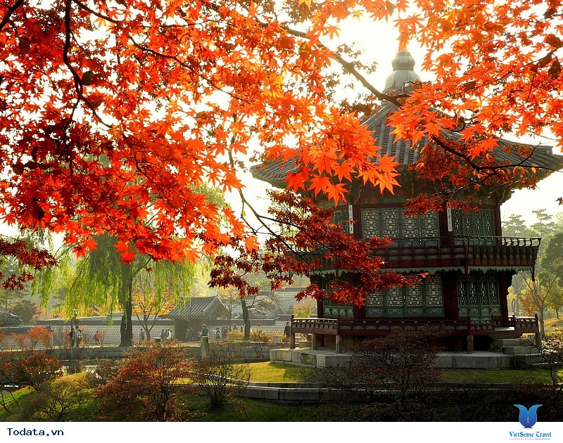 4 lưu ý quan trọng trước khi đi du lịch Hàn Quốc - Ảnh 2