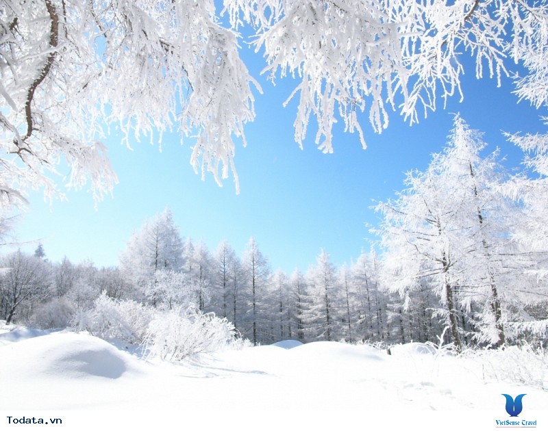 5 lễ hội Hàn Quốc thu hút nhiều khách du lịch nhất trên thế giới - Ảnh 4 5 lễ hội Hàn Quốc thu hút nhiều khách du lịch nhất trên thế giới - Ảnh 4