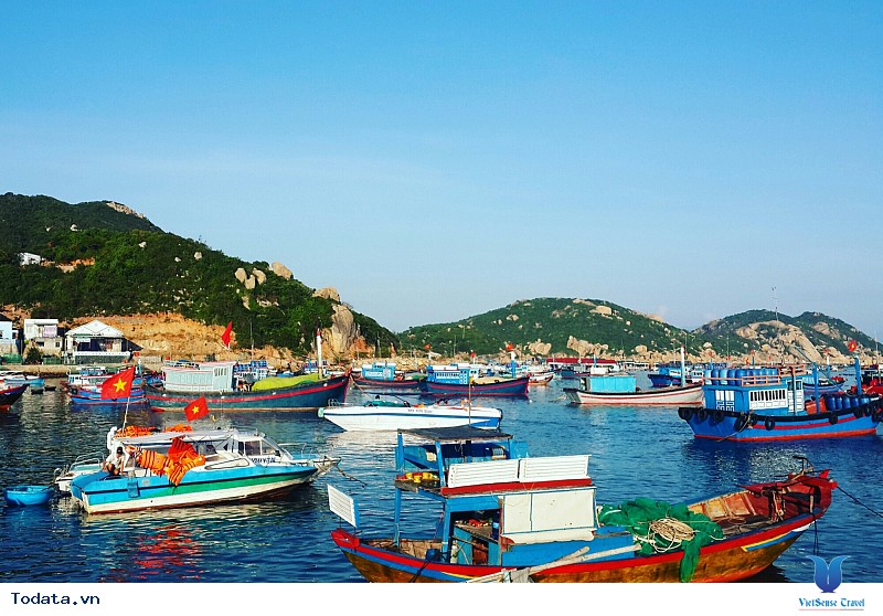 Ấn Tượng Nha Trang Trong Tôi Là... - Ảnh 1 Ấn Tượng Nha Trang Trong Tôi Là... - Ảnh 1