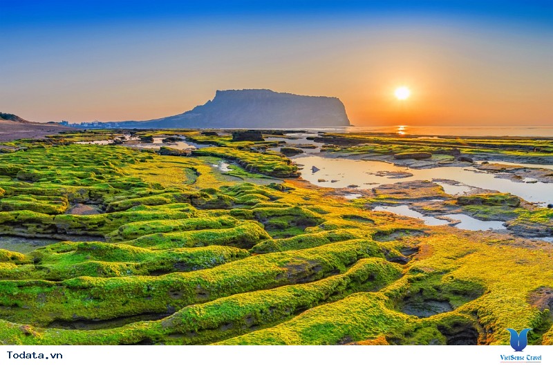 Cơ Hội Du Lịch Hàn Quốc Khám Phá Đảo Jeju Chỉ Với 9,7 Triệu Đồng - Ảnh 2