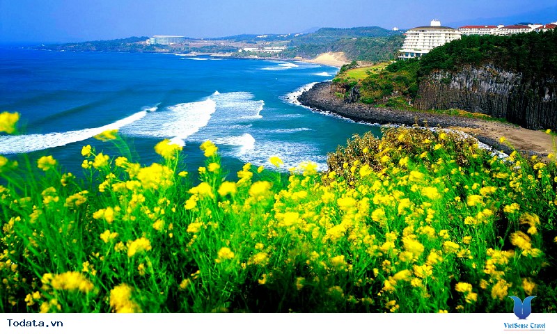 Cơ Hội Du Lịch Hàn Quốc Khám Phá Đảo Jeju Chỉ Với 9,7 Triệu Đồng - Ảnh 1