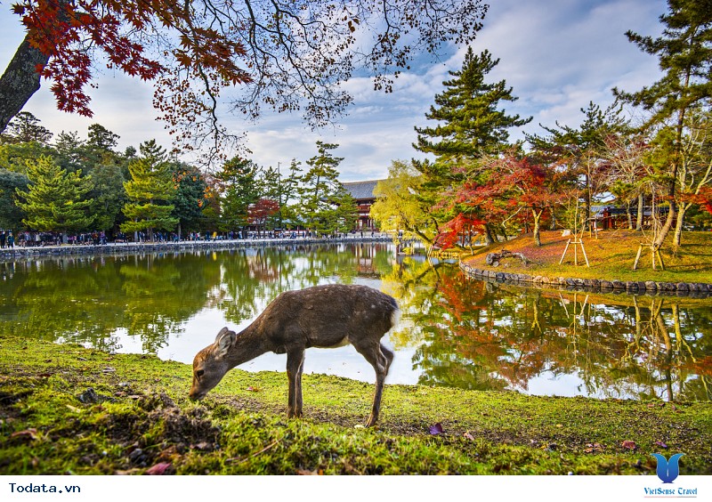 Có Một Tour Du Lịch Nhật Bản Về Miền Cổ Kính Vô Cùng Thú Vị Cùng VietSense - Ảnh 2