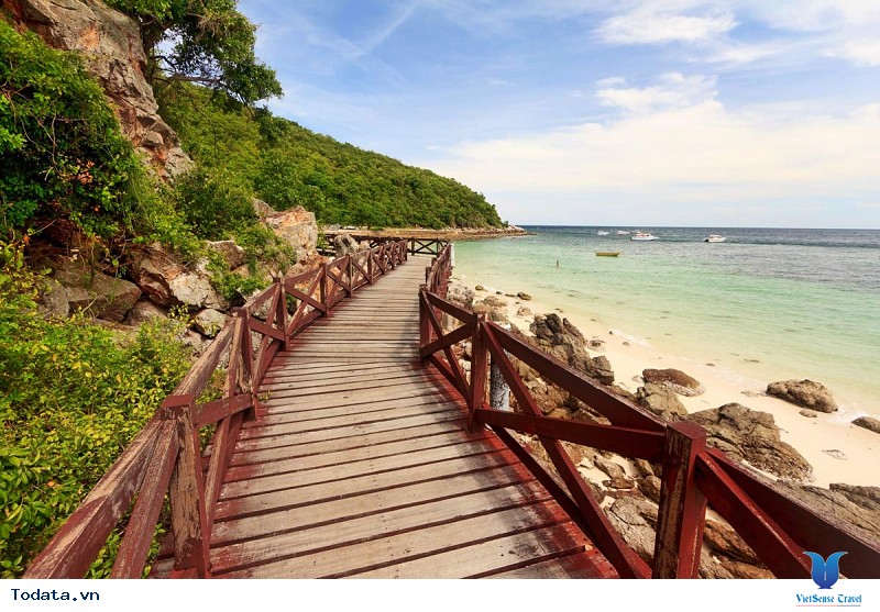 Coral Island – Hòn đảo san hô mê hồn du khách - Ảnh 2