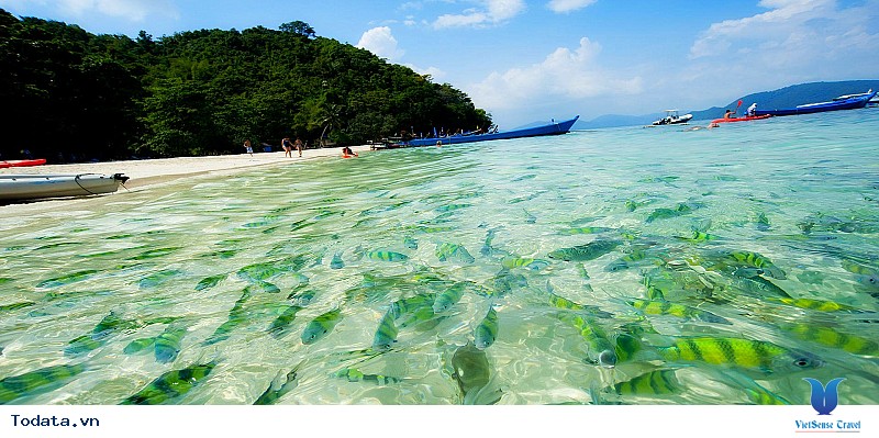 Coral Island – Hòn đảo san hô mê hồn du khách - Ảnh 4