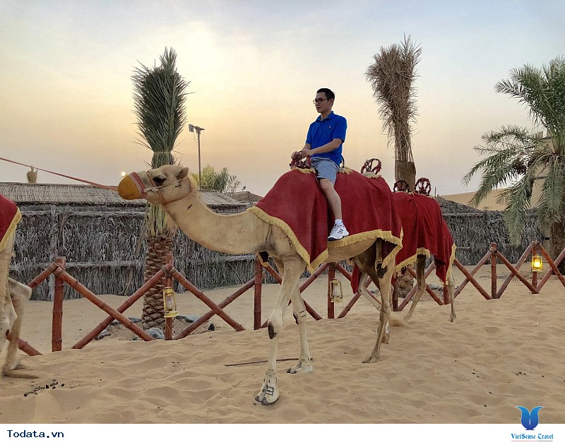 Du Lịch Dubai Cùng Với Những Trải Nghiệm Tuyệt Vời Tại Thành Phố Sang Trọng Bậc Nhất Trung Đông - Ảnh 4 Du Lịch Dubai Cùng Với Những Trải Nghiệm Tuyệt Vời Tại Thành Phố Sang Trọng Bậc Nhất Trung Đông - Ảnh 4