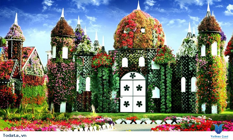 Dubai Khám Phá Vườn Hoa Khổng Lồ Giữa Lòng Sa Mạc - Ảnh 1 Dubai Khám Phá Vườn Hoa Khổng Lồ Giữa Lòng Sa Mạc - Ảnh 1