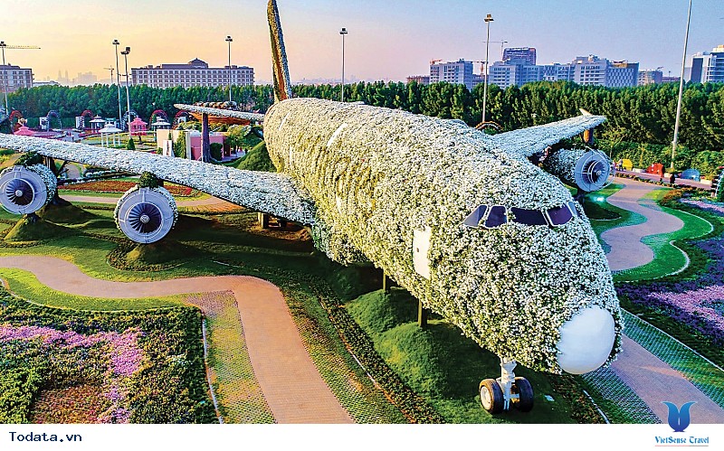 Dubai Khám Phá Vườn Hoa Khổng Lồ Giữa Lòng Sa Mạc - Ảnh 3 Dubai Khám Phá Vườn Hoa Khổng Lồ Giữa Lòng Sa Mạc - Ảnh 3