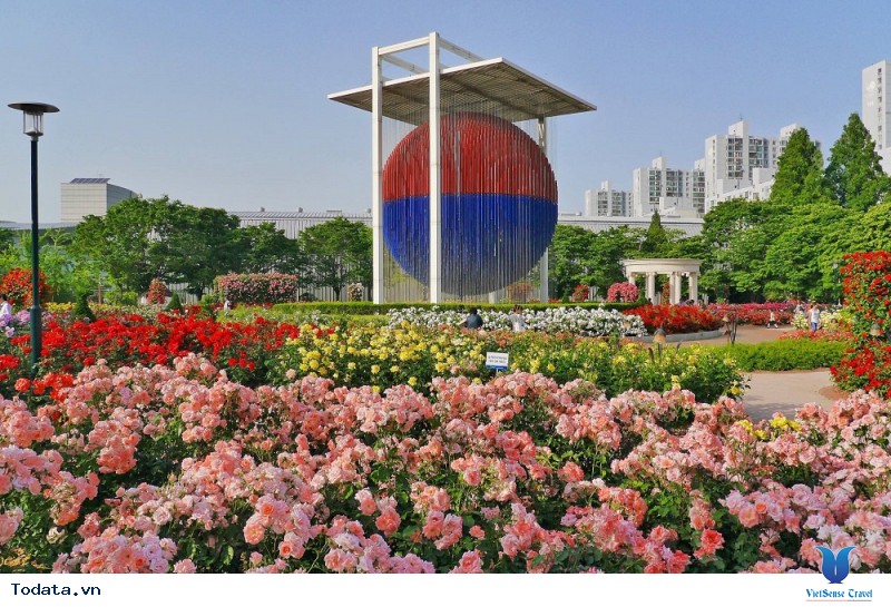 Du Lịch Hàn Quốc Khám Phá Những Điểm Đến Hấp Dẫn Và Tham Gia Vào Những Trải Nghiệm Tuyệt Vời Cùng VietSense Travel - Ảnh 4 Du Lịch Hàn Quốc Khám Phá Những Điểm Đến Hấp Dẫn Và Tham Gia Vào Những Trải Nghiệm Tuyệt Vời Cùng VietSense Travel - Ảnh 4