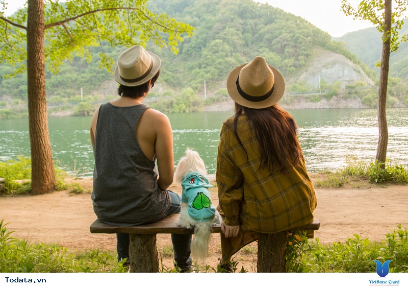 Hàn Quốc Say Đắm Cảnh Sắc Thiên Đường Nami - Ảnh 1 Hàn Quốc Say Đắm Cảnh Sắc Thiên Đường Nami - Ảnh 1