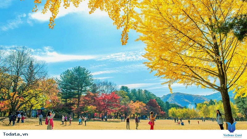 Du Lịch Hàn Quốc Trải Nghiệm Du Thuyền Sông Hàn Và Lễ Hội Hoa Hồng Tại Công Viên Everland Chỉ Với 11,9 Triệu Đồng - Ảnh 1