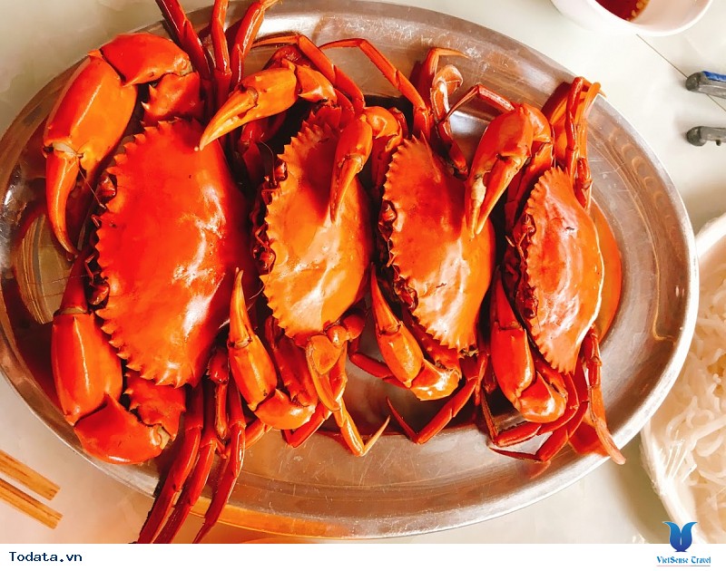 Nha Trang - Ấn Tượng Một Chuyến Đi - Ảnh 3