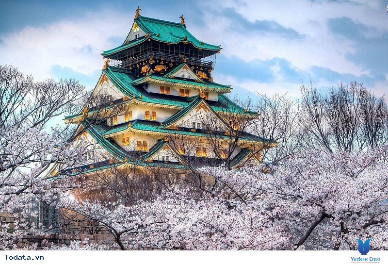 Du lịch Nhật Bản, Ngắm hoa anh đào nở, đón bình minh ở đất nước mặt trời mọc - Ảnh 5