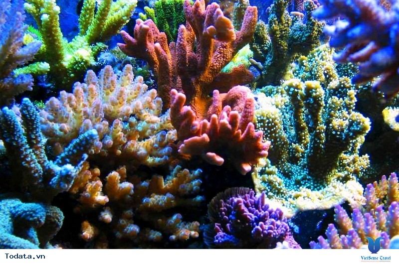 Giảm Giá Sốc Tour Bangkok - Pattaya 5 Ngày 4 Đêm Chỉ Với 6,5 Triệu Đồng - Ảnh 1