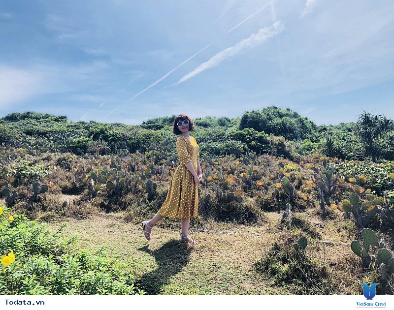 Gợi Ý Hành Trình Phú Yên - Quy Nhơn 4 Ngày 3 Đêm Cùng VietSense Travel - Ảnh 3