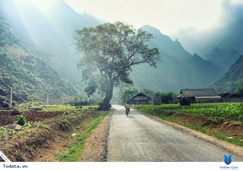 Hà Giang Tháng 10 - Bạn Đã Lên Và Cảm Nhận Chưa ? - Ảnh 7
