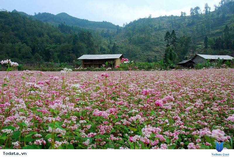 Hà Giang Tháng 10 - Bạn Đã Lên Và Cảm Nhận Chưa ? - Ảnh 1