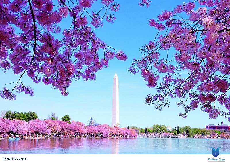 Hành Trình Bờ Đông Nước Mỹ New York - Philadelphia - Washington D.C - Ảnh 3 Hành Trình Bờ Đông Nước Mỹ New York - Philadelphia - Washington D.C - Ảnh 3