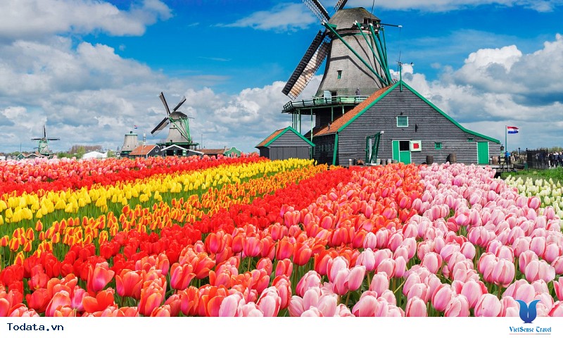 Hành Trình Khám Phá Tây Âu Pháp - Luxembourg - Bỉ - Hà Lan - Đức - Ảnh 6