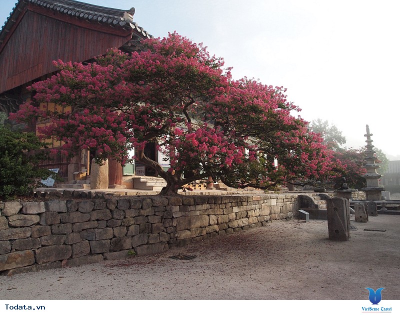 Jeollabuk-do Hàn Quốc cái tên mới nổi với nhiều điều thú vị - Ảnh 2 Jeollabuk-do Hàn Quốc cái tên mới nổi với nhiều điều thú vị - Ảnh 2