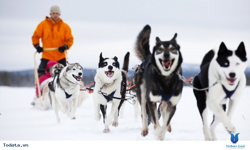 Khám Phá Bắc Cực - Săn Bắc Cực Quang - Ảnh 4 Khám Phá Bắc Cực - Săn Bắc Cực Quang - Ảnh 4