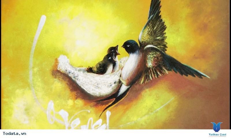 Khám Phá Điểm Đến Nha Trang Và Hiểu Hơn Về Loài Chim Yến Đặc Biệt - Ảnh 1