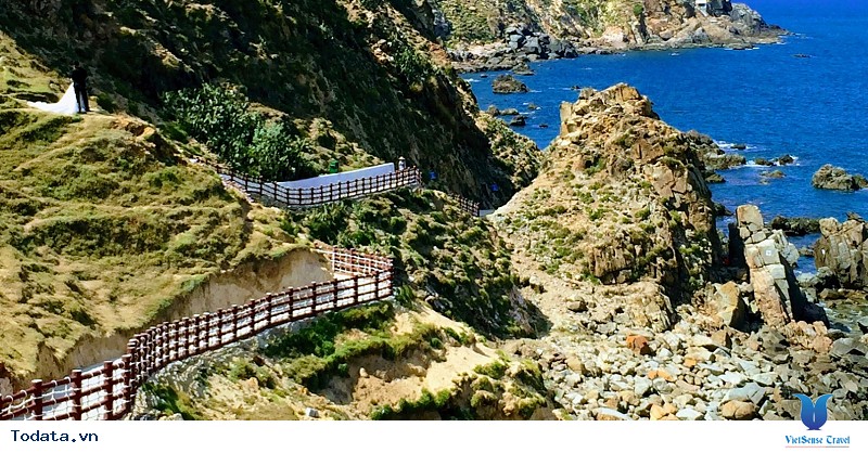 Khám Phá Lý Do Bạn Không Nên Bỏ Lỡ Hành Trình Đến Với Quy Nhơn Mùa Hè Này - Ảnh 1