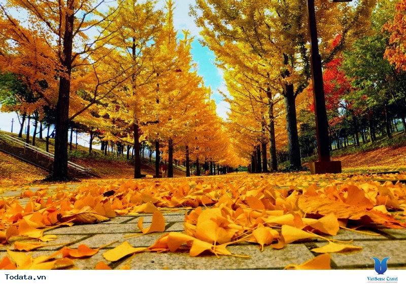 Khám phá nét đẹp của những hòn đảo đáng sống nhất Hàn Quốc - Ảnh 2 Khám phá nét đẹp của những hòn đảo đáng sống nhất Hàn Quốc - Ảnh 2