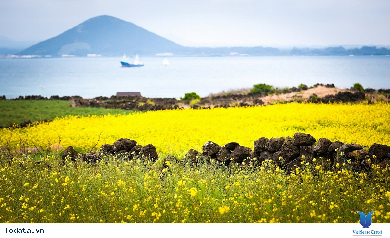 Khám phá nét đẹp của những hòn đảo đáng sống nhất Hàn Quốc - Ảnh 1 Khám phá nét đẹp của những hòn đảo đáng sống nhất Hàn Quốc - Ảnh 1