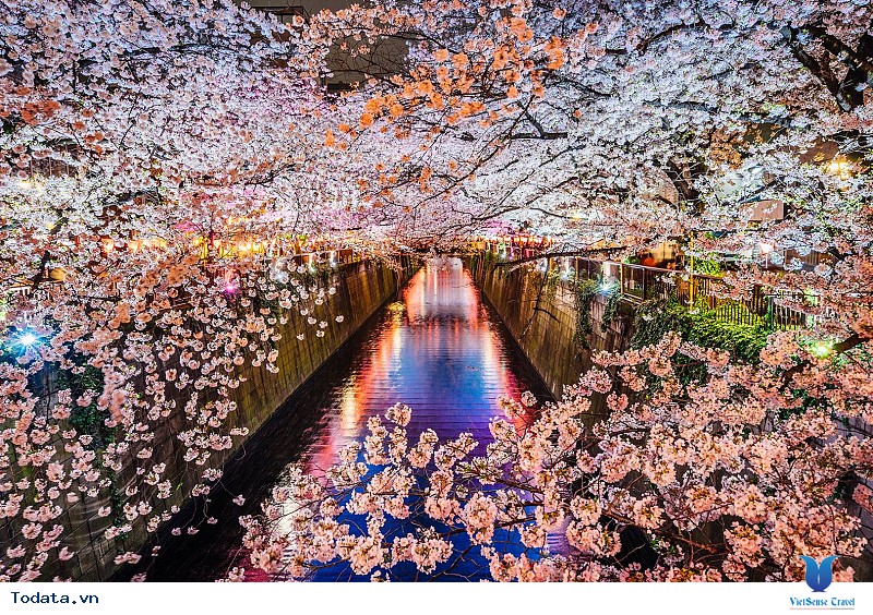 Khám Phá Nhật Bản 4 Ngày Chỉ Với Chưa Đến 22 Triệu Đồng Chỉ Có Tại VietSense - Ảnh 3 Khám Phá Nhật Bản 4 Ngày Chỉ Với Chưa Đến 22 Triệu Đồng Chỉ Có Tại VietSense - Ảnh 3