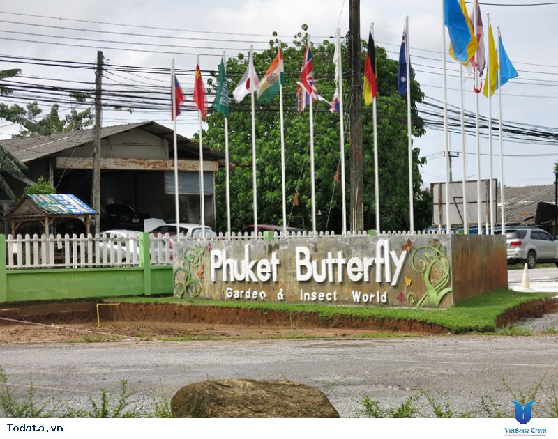 Lạc vào chốn thần tiên tại Vườn bướm Butterfly Garden ở Phuket - Ảnh 1
