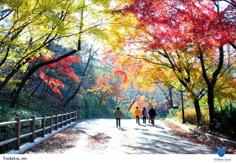 Những điểm du lịch Hàn Quốc đẹp nhất khi sắc trời vào thu - Ảnh 5