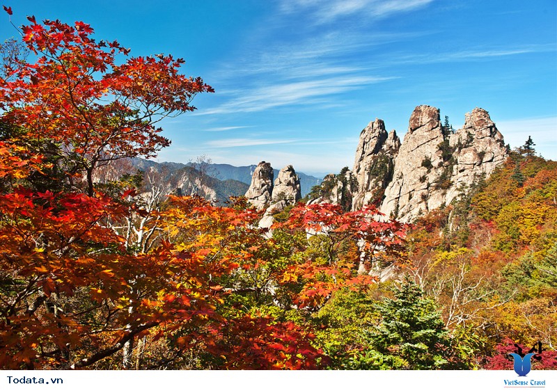 Những điểm du lịch Hàn Quốc đẹp nhất khi sắc trời vào thu - Ảnh 2