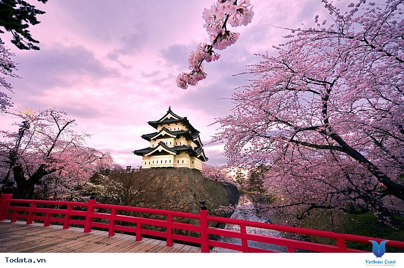 Những điều cần tránh khi đi du lịch Hàn Quốc - Ảnh 2