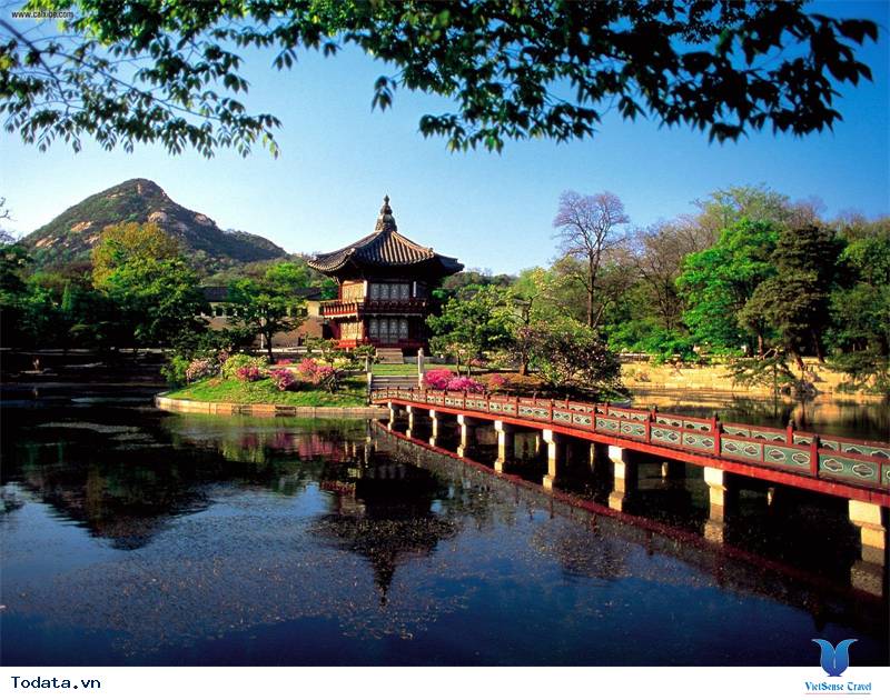 Những điều cần tránh khi đi du lịch Hàn Quốc - Ảnh 5